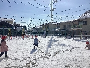 雪が降りました♪